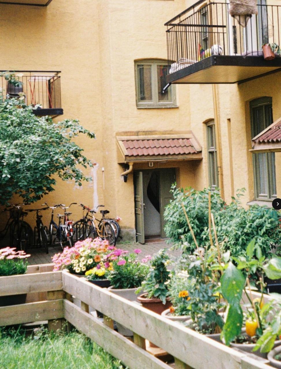 Entire 1-bedroom Flat With Courtyard In Old Town *